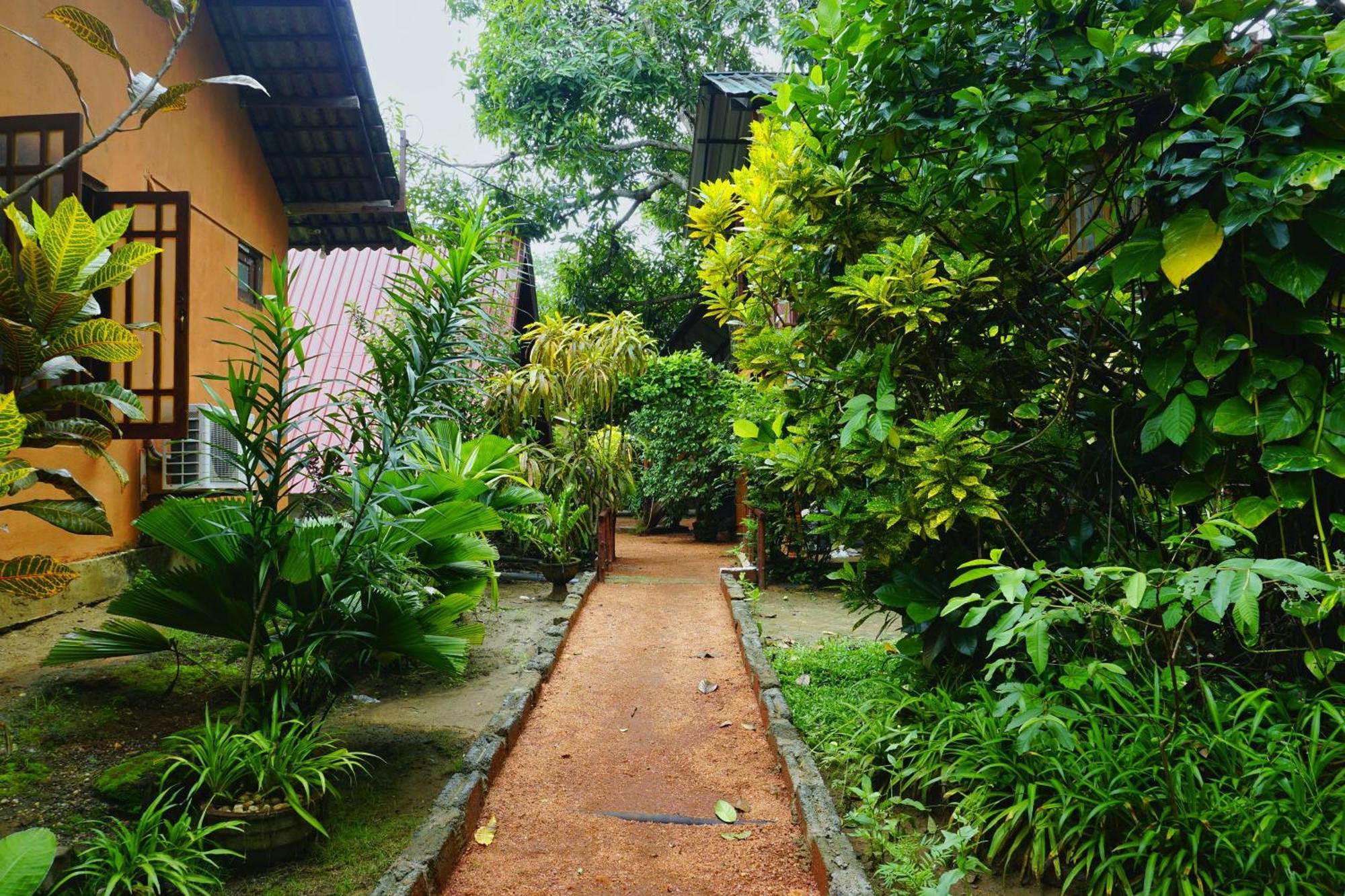 Sky Villa Sigiriya Exteriér fotografie